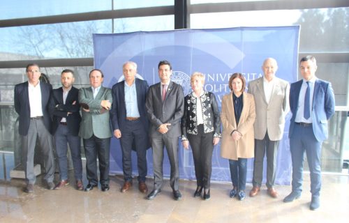 Grupo entidades