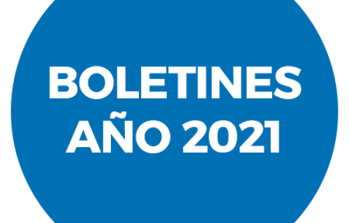 Boletines-Año-2021